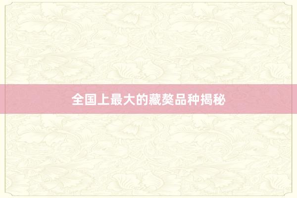 全国上最大的藏獒品种揭秘