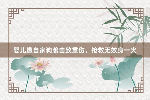 婴儿遭自家狗袭击致重伤,抢救无效身一火