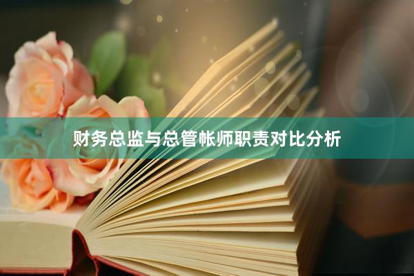财务总监与总管帐师职责对比分析